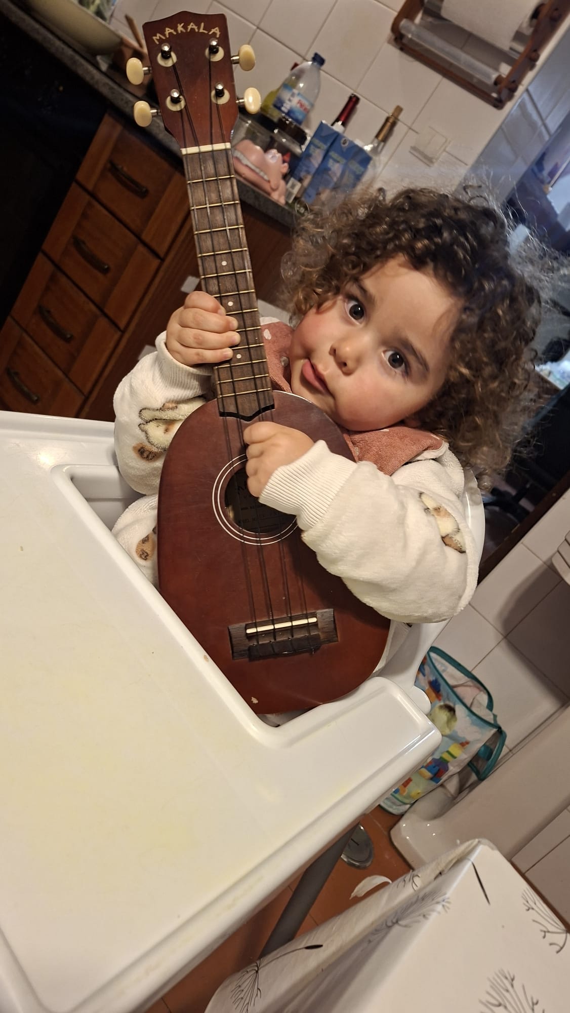 Cadeira Toddlers para a Nonô